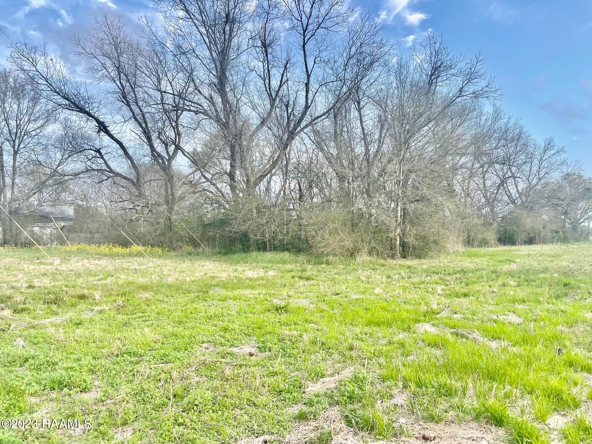 900 Bourque Road Lafayette, LA 70506 - Photo 4 of 14 900 BLK Bourque Rd IMG_1556
