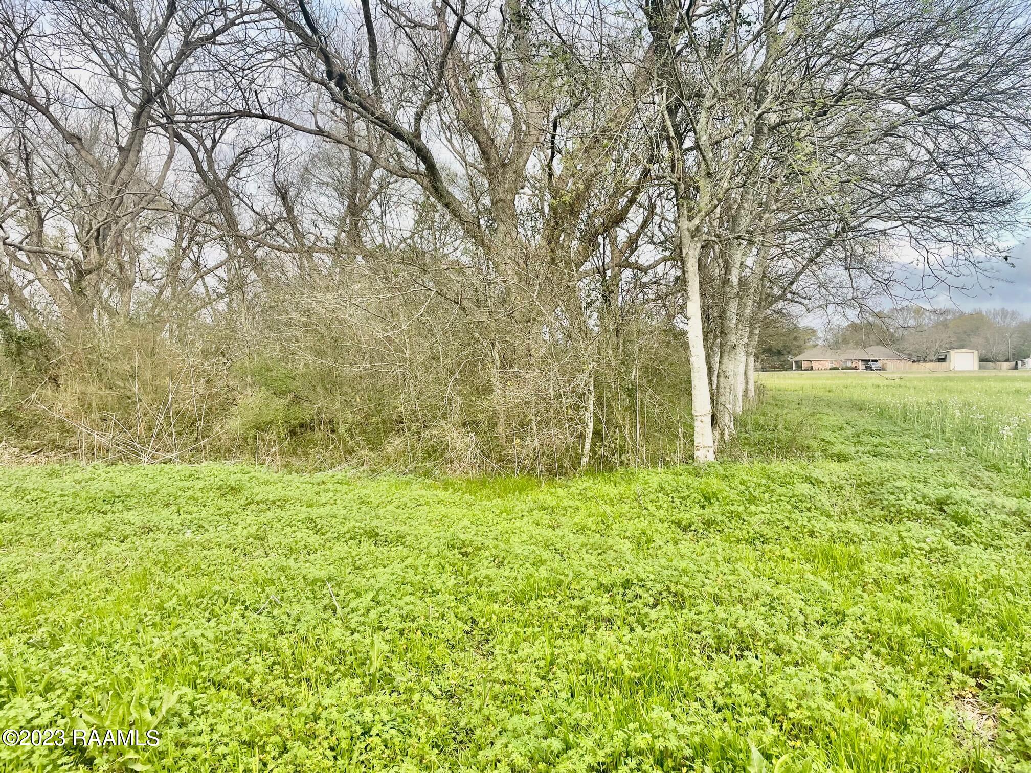 900 Bourque Road Lafayette, LA 70506 - Photo 8 of 14 900 BLK Bourque Rd IMG_1560