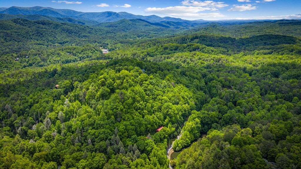 379 Dream Catcher Blue Ridge Blue Ridge, GA 30513 - Photo 21 of 28 a view of a lush green forest with lush green forest