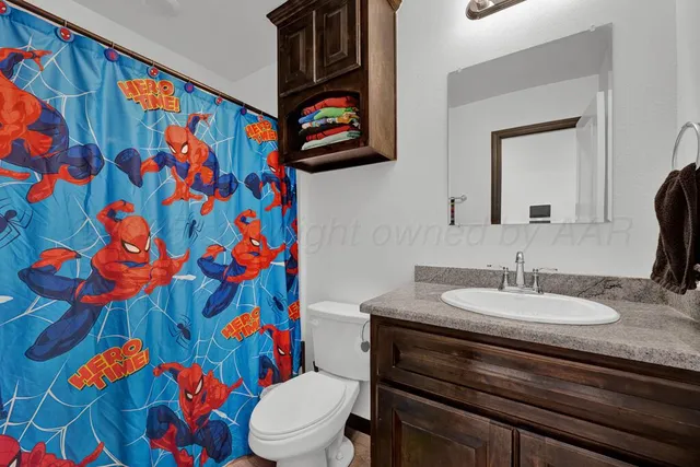 a bathroom with a sink toilet and vanity