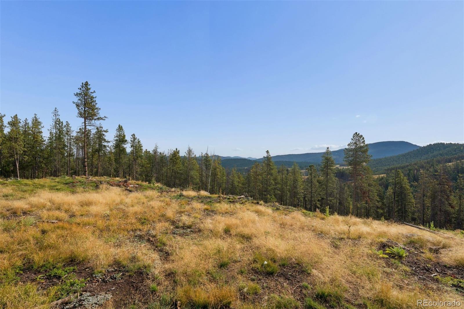8570 South Warhawk Road Conifer, CO 80433 - Photo 2 of 29 Gallery Image 2