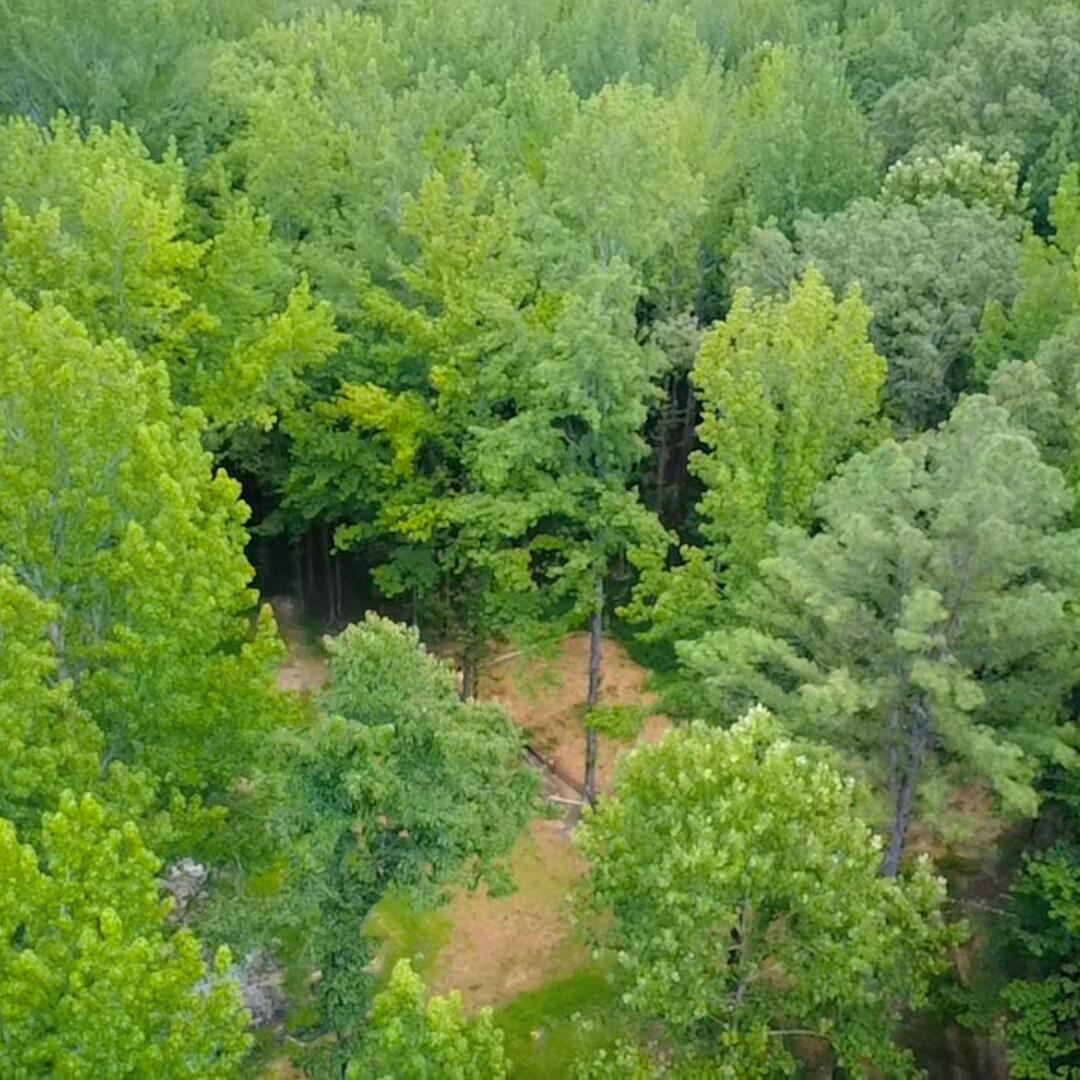 1147 Broom Road Como, MS 38619 - Photo 22 of 23 Gallery Image 22