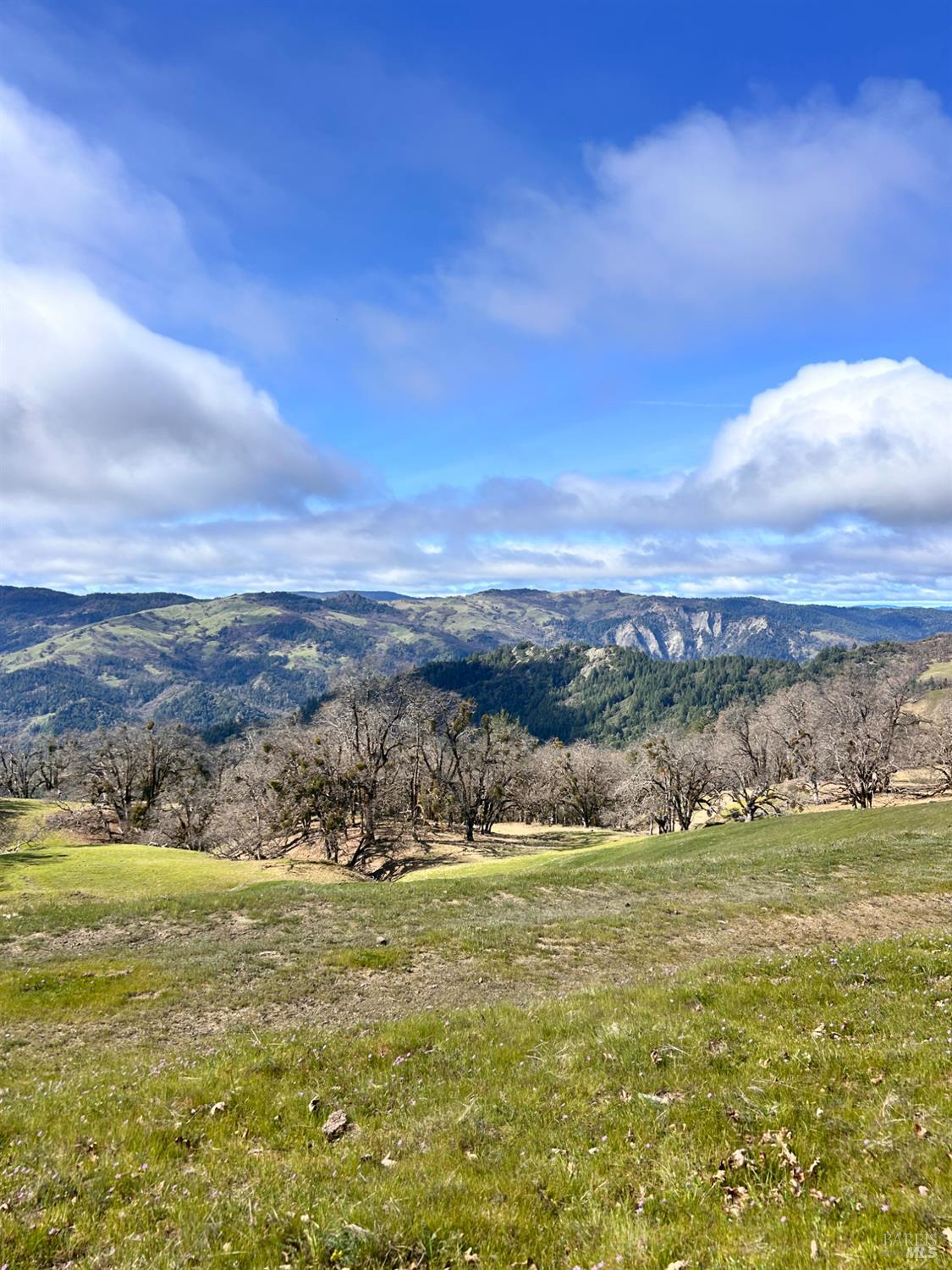 74000 Island Mountain Road Garberville, CA 95542 - Photo 7 of 36