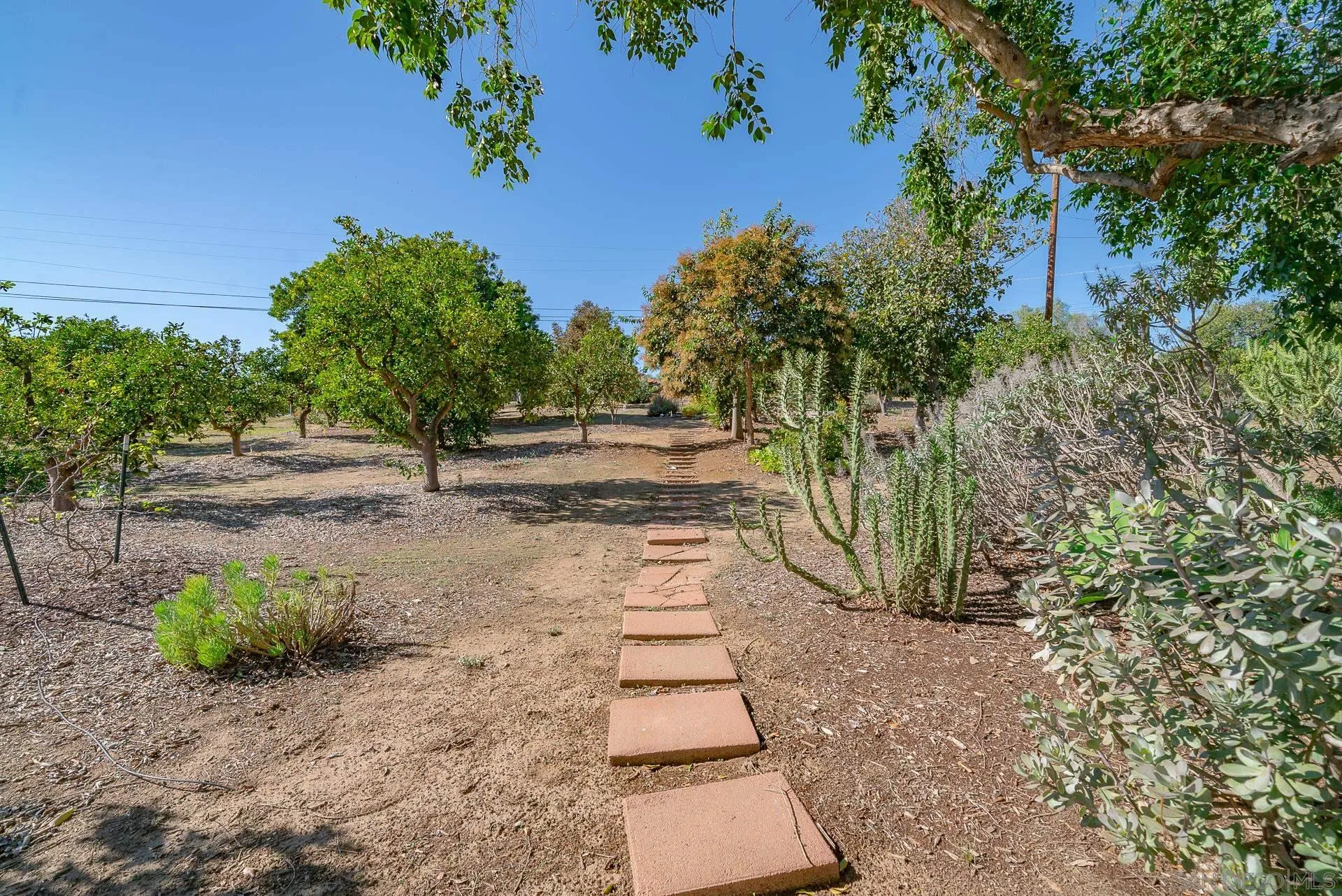 329 Greenview Lane Fallbrook, CA 92028 - Photo 43 of 53 a view of a yard with plants