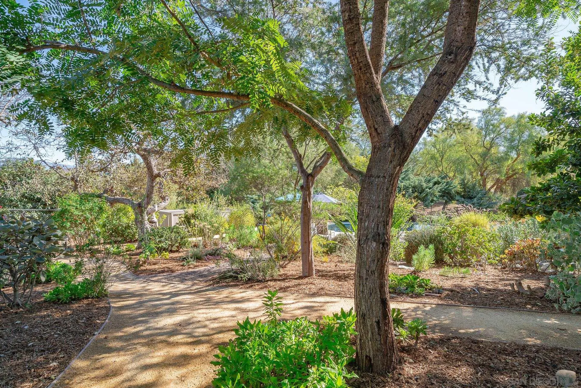 329 Greenview Lane Fallbrook, CA 92028 - Photo 45 of 53 a view of a yard with trees