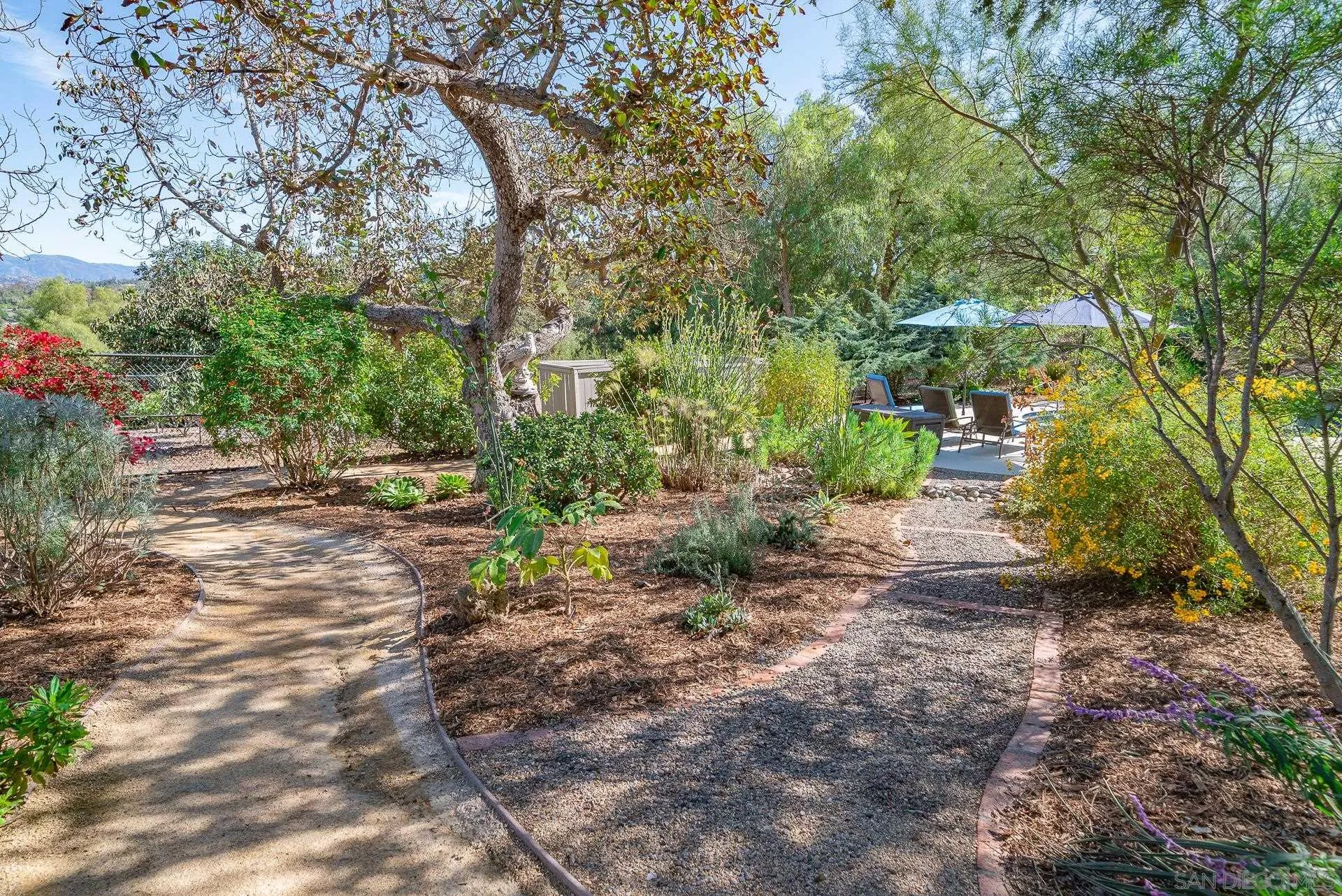 329 Greenview Lane Fallbrook, CA 92028 - Photo 46 of 53 a view of backyard with green space