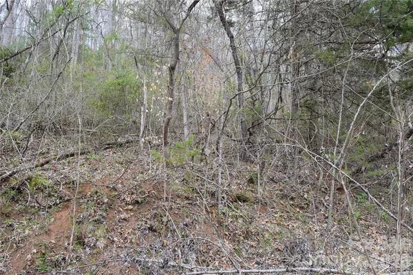 $19,800 | Tbd Bel Air Road, Unit 20, Cullowhee, NC 28723