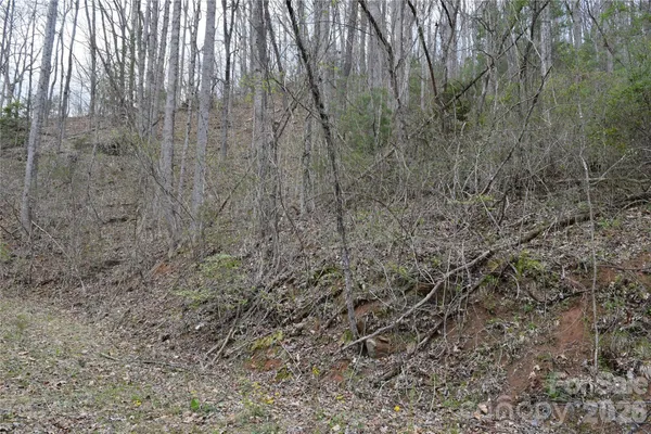 $19,800 | Tbd Bel Air Road, Unit 20, Cullowhee, NC 28723