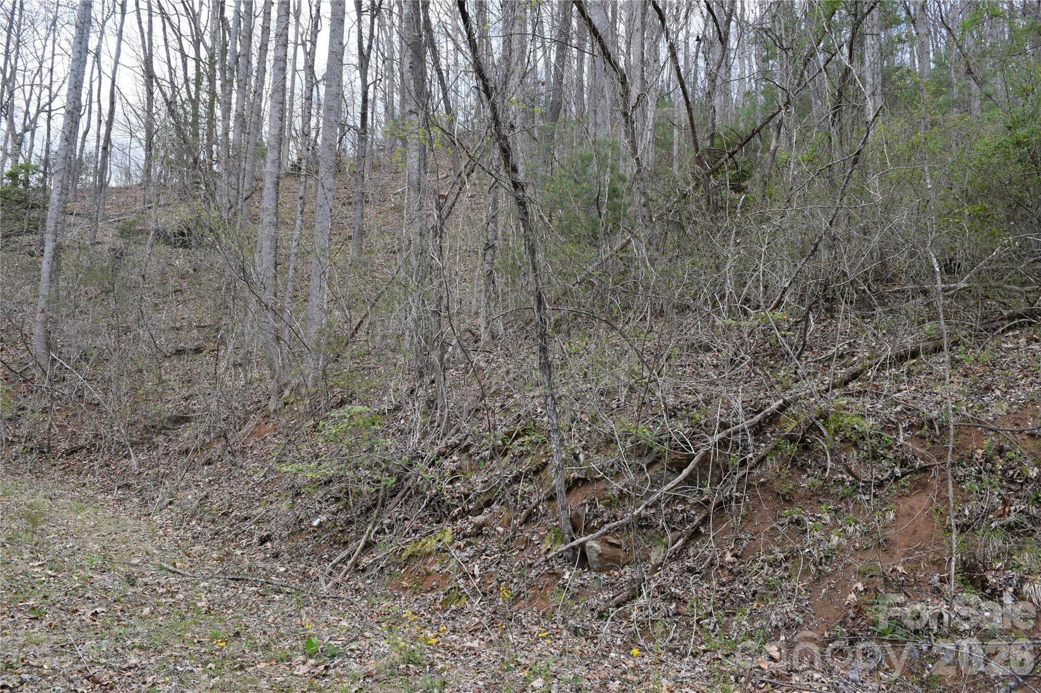 Tbd Bel Air Road, Unit 20 Cullowhee, NC 28723 - Photo 2 of 5