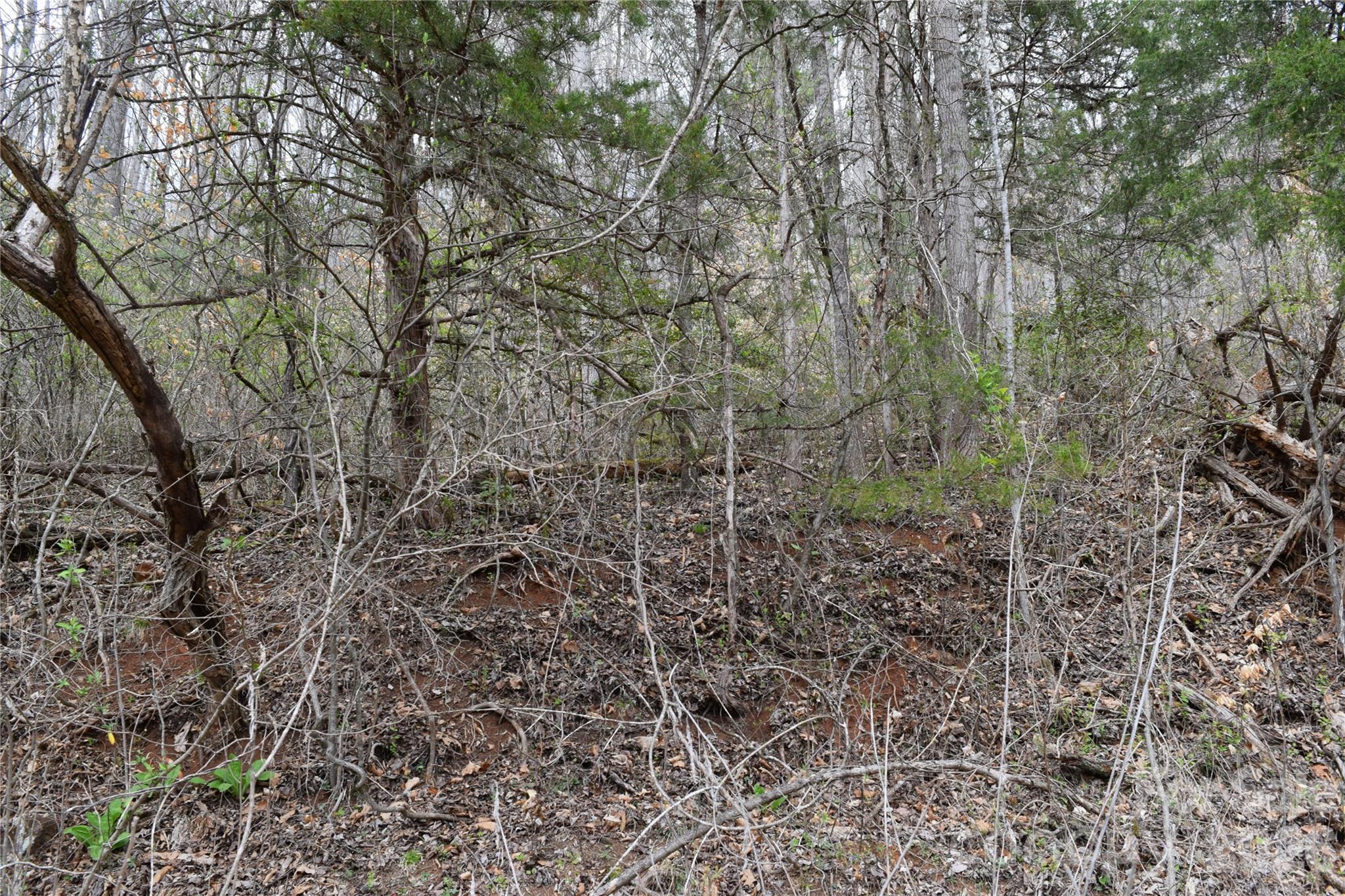 Tbd Bel Air Road, Unit 20 Cullowhee, NC 28723 - Photo 3 of 5