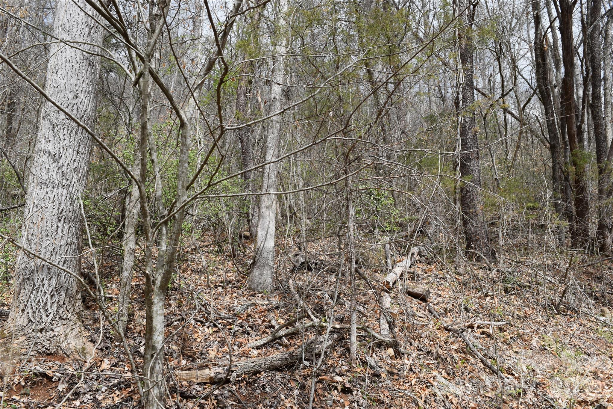 Tbd Bel Air Road, Unit 20 Cullowhee, NC 28723 - Photo 4 of 5