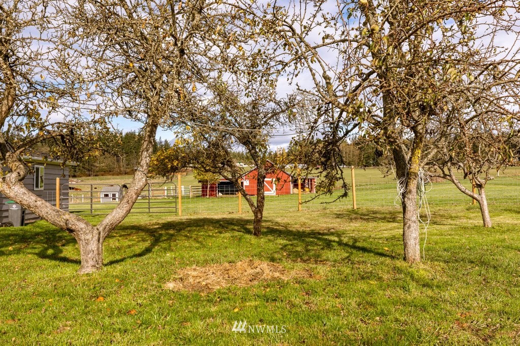 171 East Roberts Road Oak Harbor, WA 98277 - Photo 4 of 40 Gallery Image 4