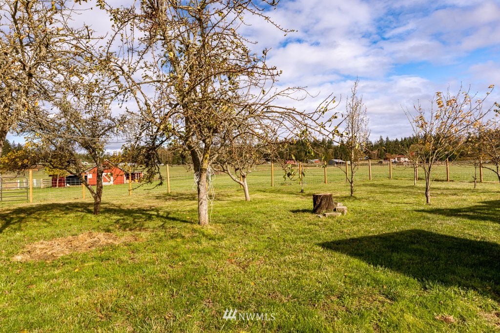 171 East Roberts Road Oak Harbor, WA 98277 - Photo 5 of 40 Gallery Image 5