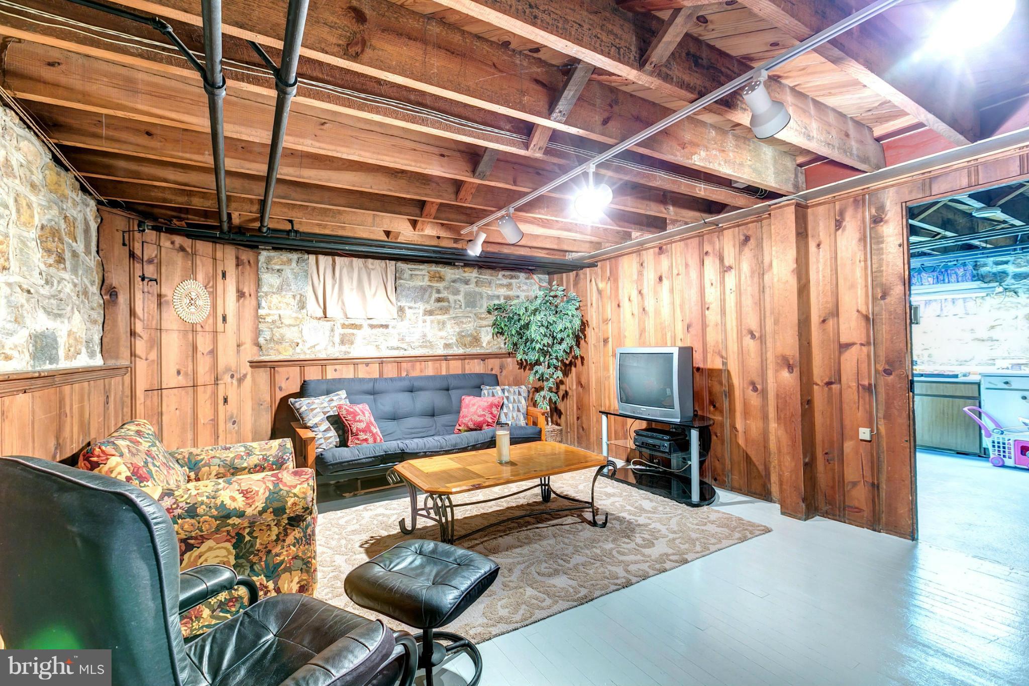 404 Croydon Road Baltimore, MD 21212 - Photo 24 of 30 Rustic Lower Level Recreation Space