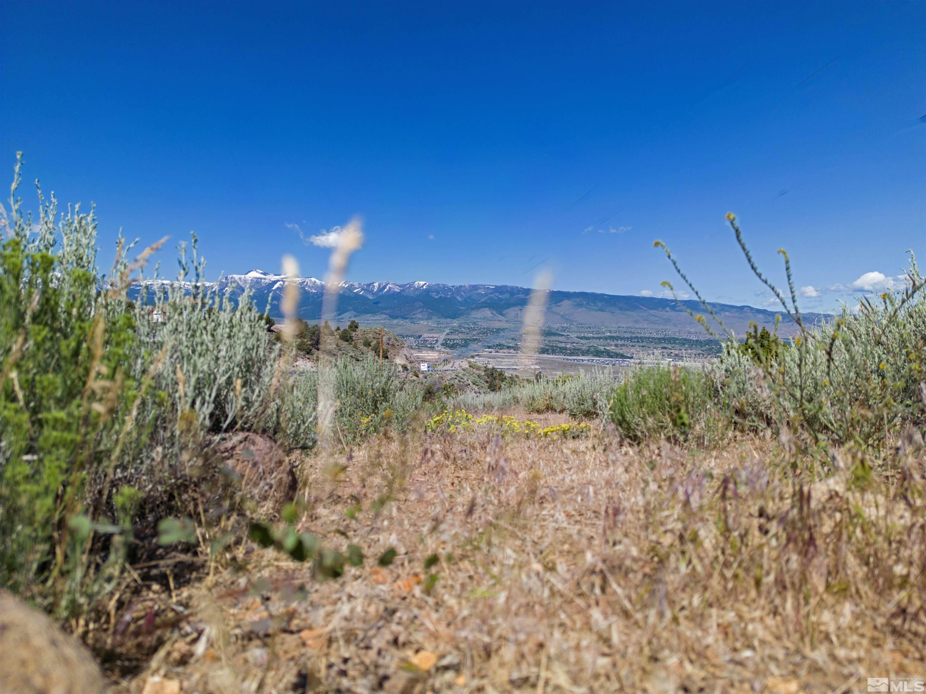 0 Kenneth Way Reno, NV 89521 - Photo 9 of 21 Photo 9