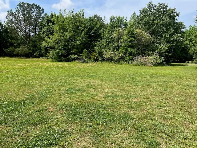 a view of yard with green space