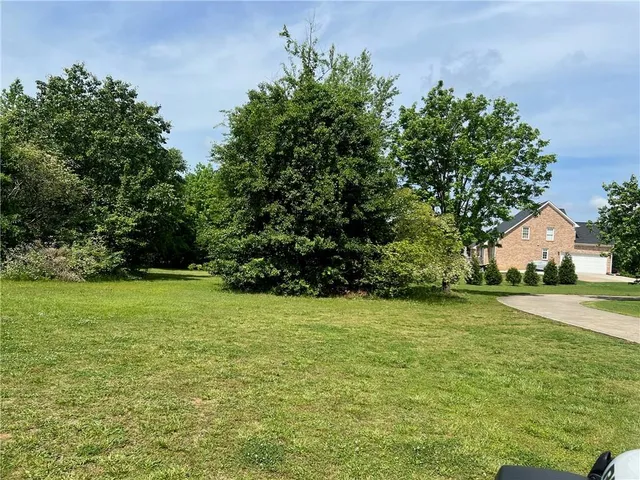 a view of a green yard