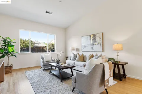 a living room with furniture and a potted plant