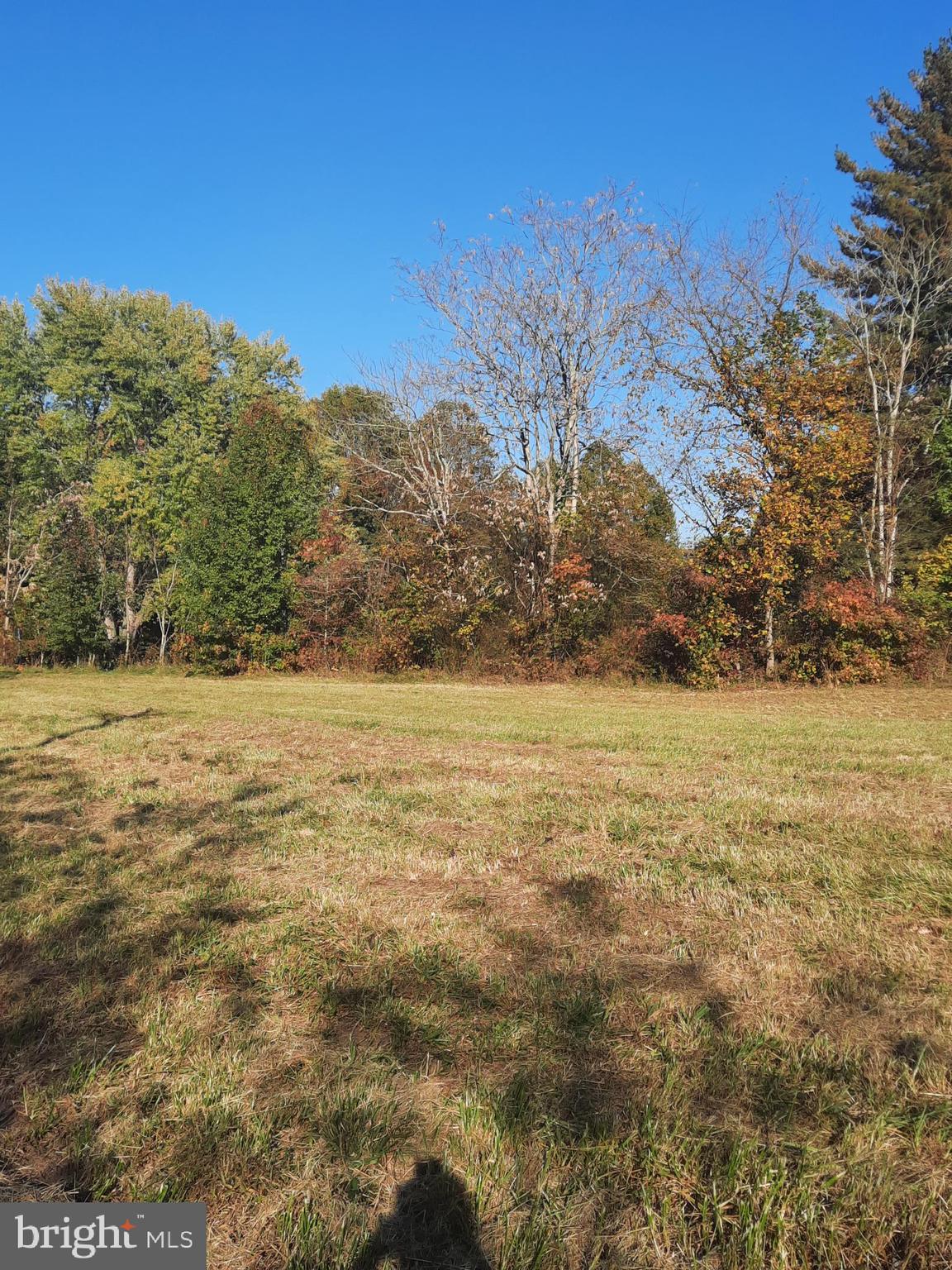 2950 Chaney Road Dunkirk, MD 20754 - Photo 2 of 8