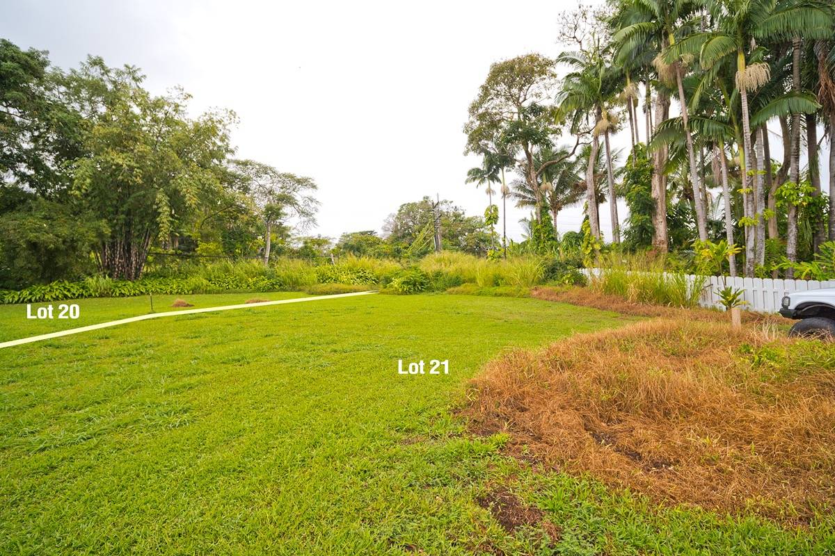 21 A Hanamalo Loop Hakalau, HI 96710 - Photo 12 of 28 a view of a field with trees