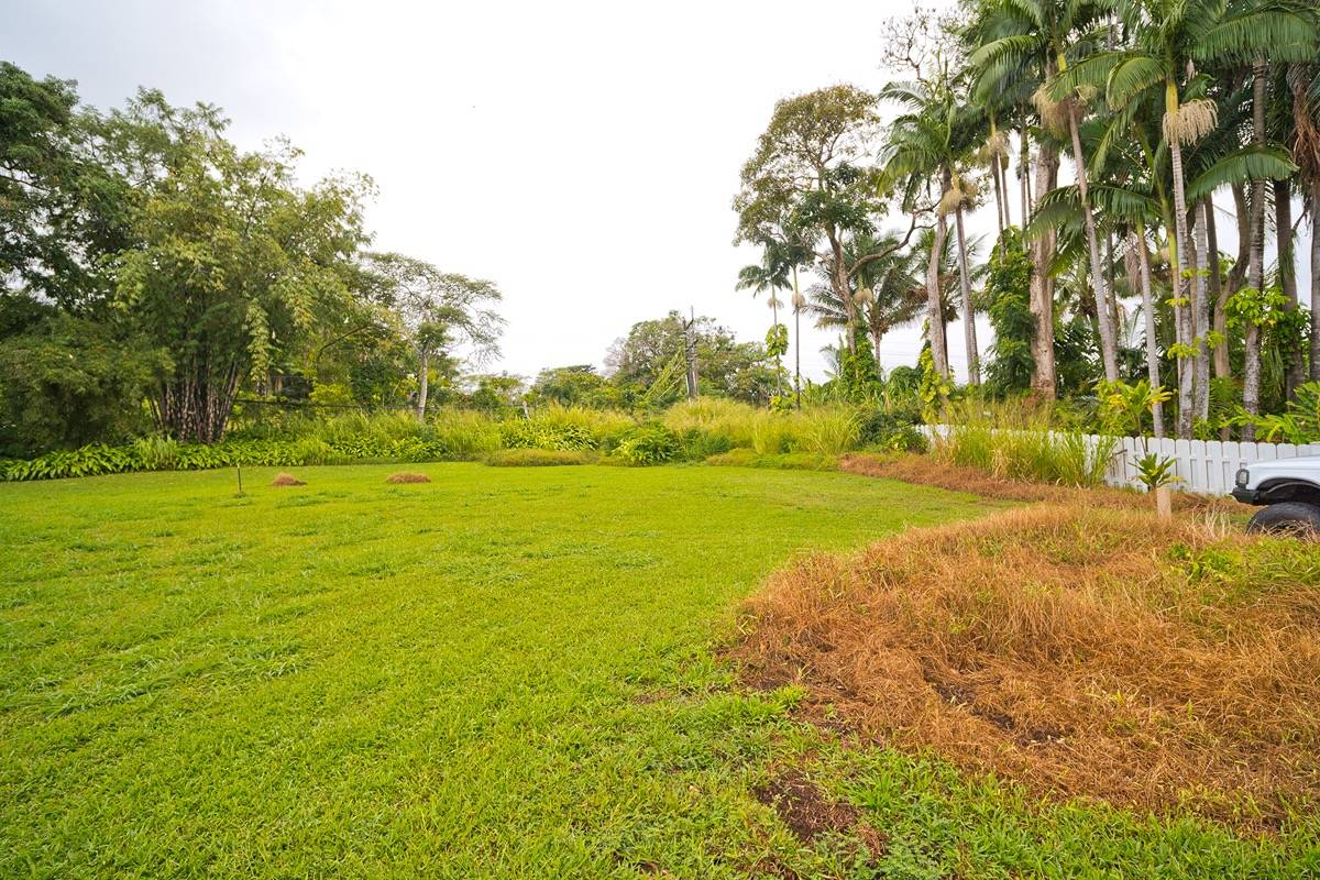 21 A Hanamalo Loop Hakalau, HI 96710 - Photo 13 of 28 a view of yard with swimming pool and green space