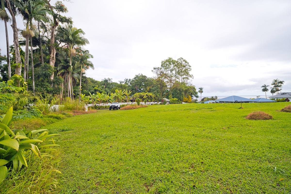 21 A Hanamalo Loop Hakalau, HI 96710 - Photo 15 of 28 a view of yard with swimming pool and green space