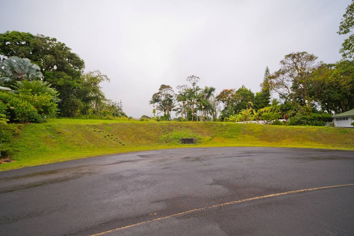 21 A Hanamalo Loop Hakalau, HI 96710 - Photo 4 of 28