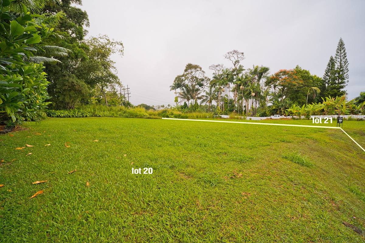 21 A Hanamalo Loop Hakalau, HI 96710 - Photo 5 of 28 a view of a green yard