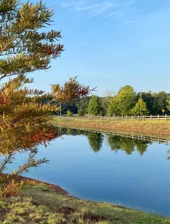 $525,000 | 9826 Canebrake Lane, Shreveport, LA 71106