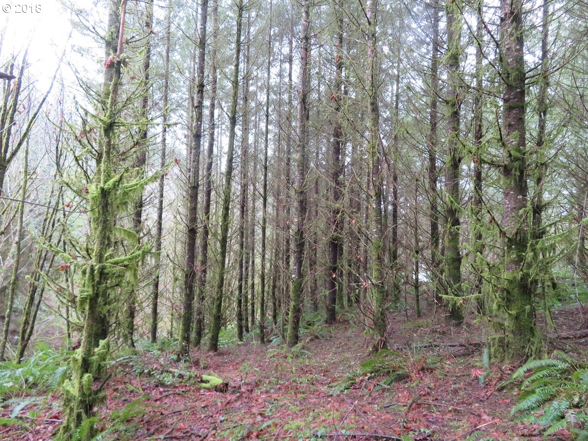415 Champion Road Kalama, WA 98625 - Photo 14 of 26 Gallery Image 14