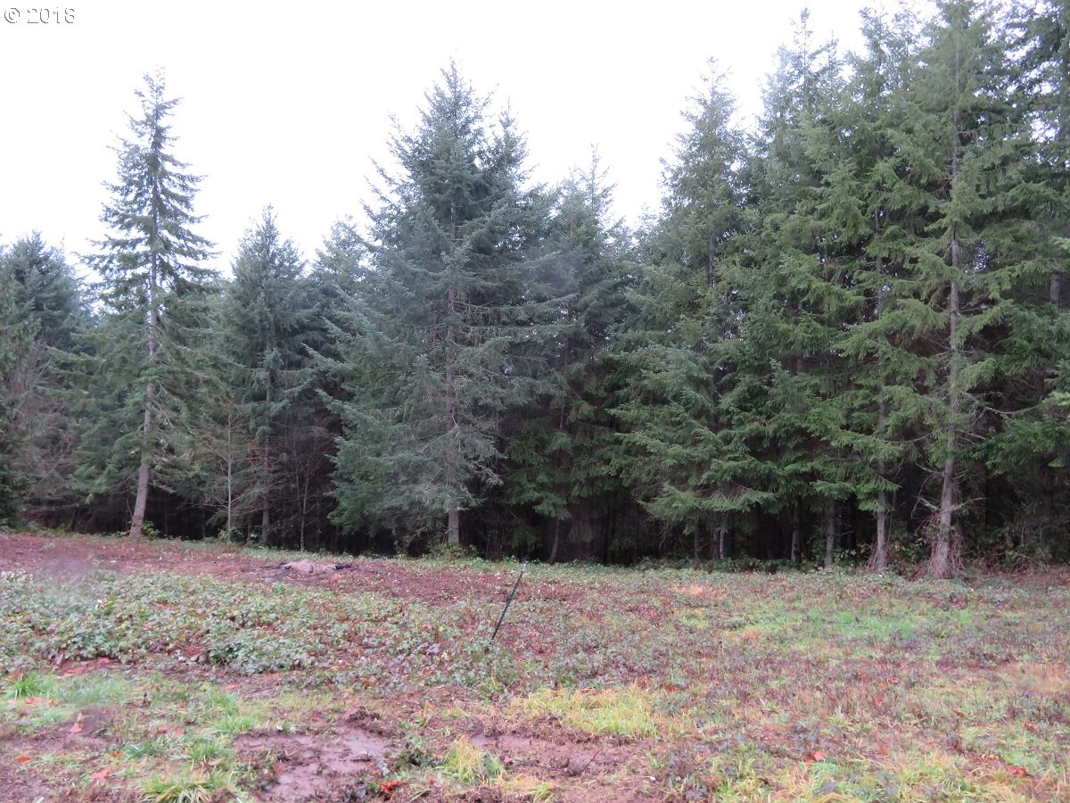 415 Champion Road Kalama, WA 98625 - Photo 3 of 26 Gallery Image 3
