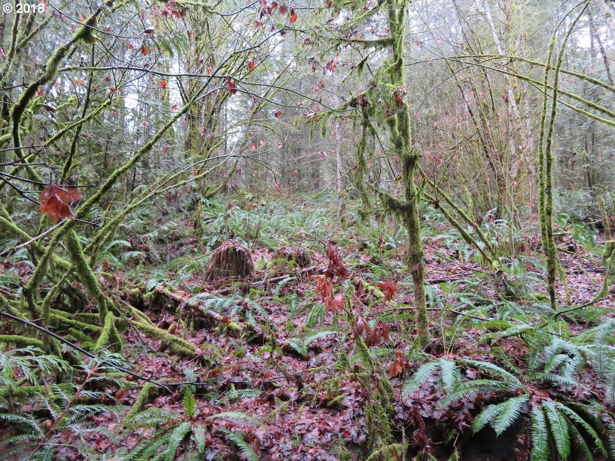 415 Champion Road Kalama, WA 98625 - Photo 21 of 26 Gallery Image 21