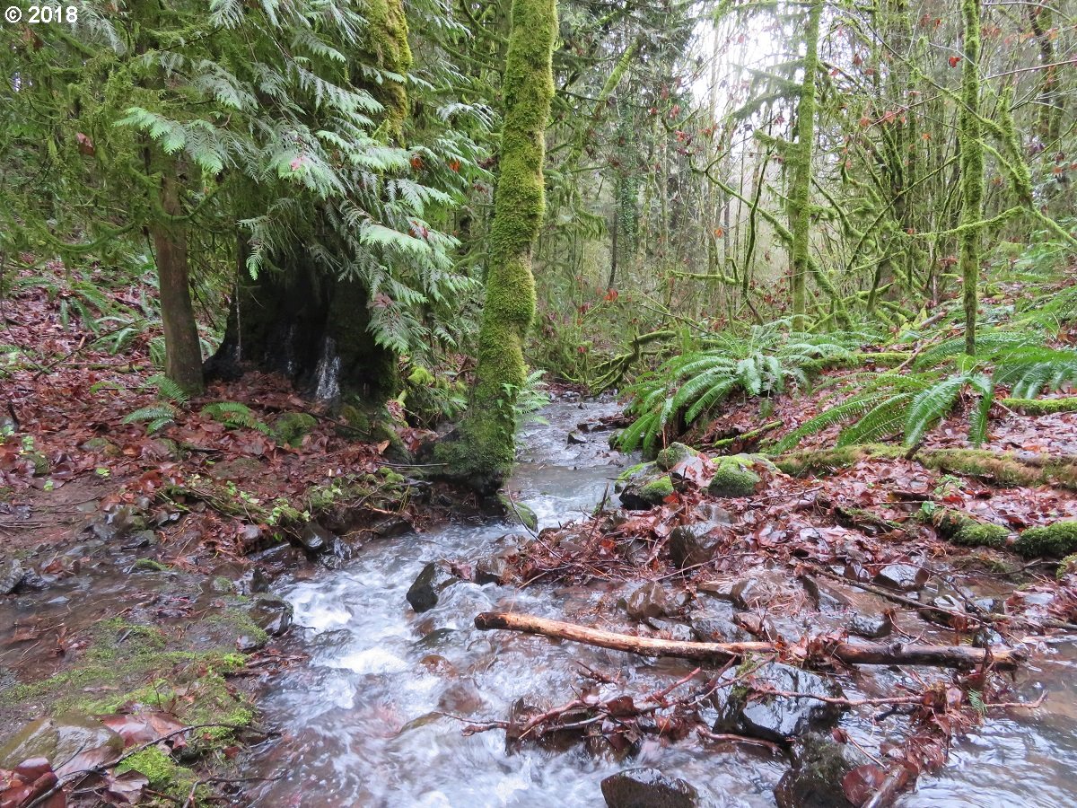 415 Champion Road Kalama, WA 98625 - Photo 24 of 26 Gallery Image 24