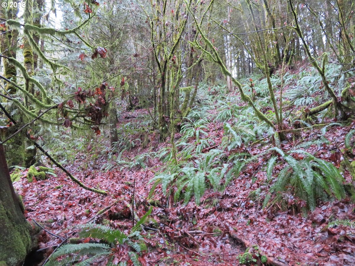 415 Champion Road Kalama, WA 98625 - Photo 9 of 26 Gallery Image 9