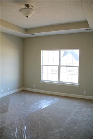 8411 Ran Harris Court Murfreesboro, TN 37129 - Photo 6 of 9 Master Bedroom