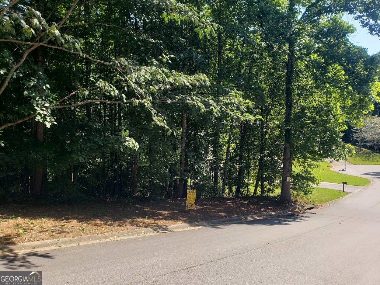 a view of a yard with plants and trees