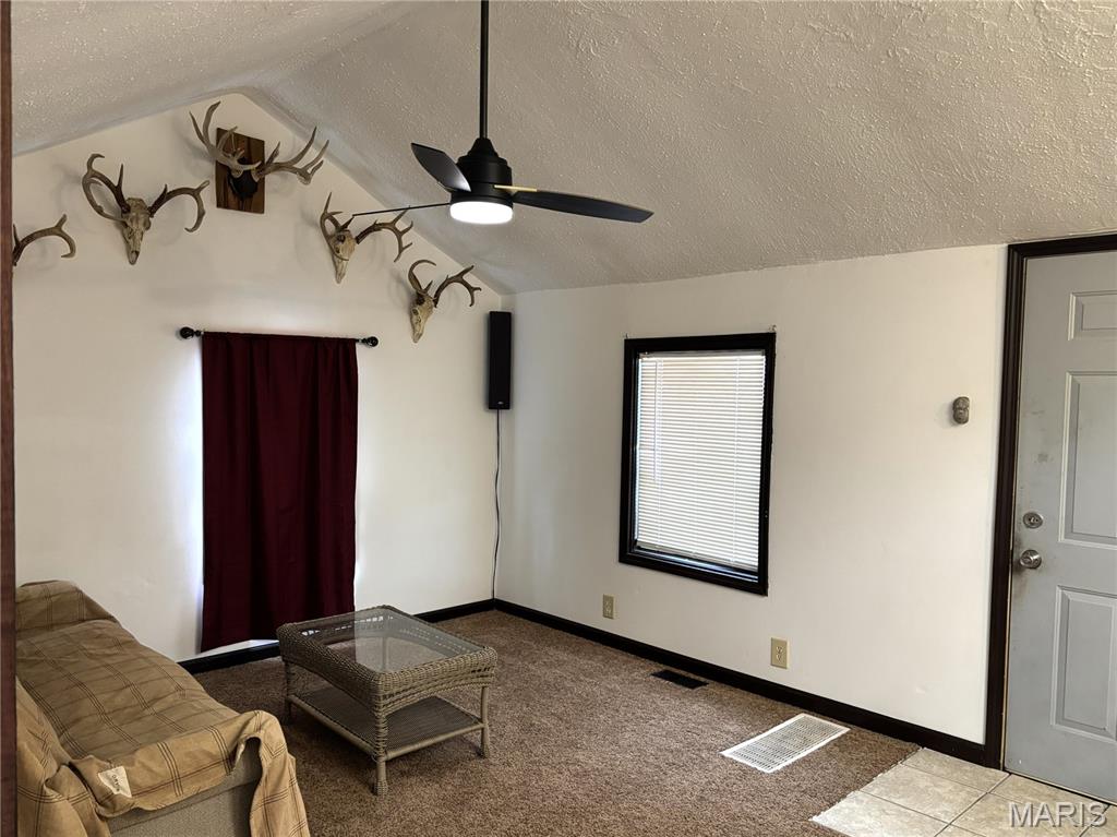 914 Chicago Street Greenville, IL 62246 - Photo 3 of 14