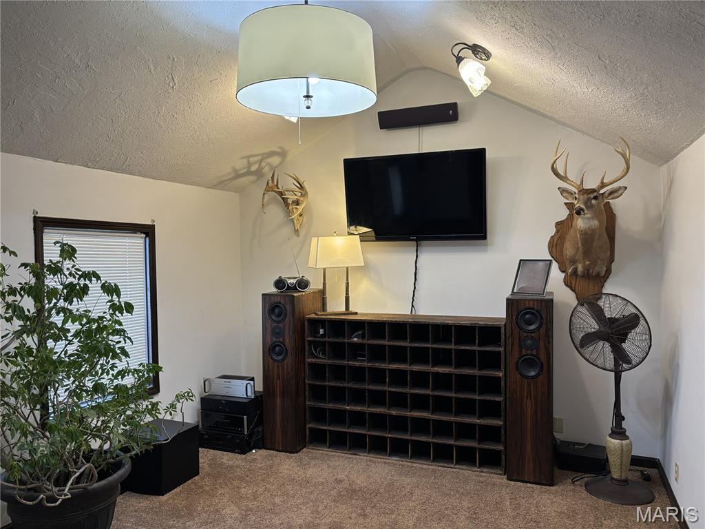 914 Chicago Street Greenville, IL 62246 - Photo 4 of 14