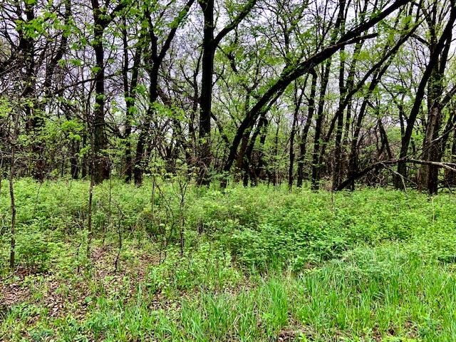 0 East 117th Street North Valley Center, KS 67147 - Photo 5 of 5