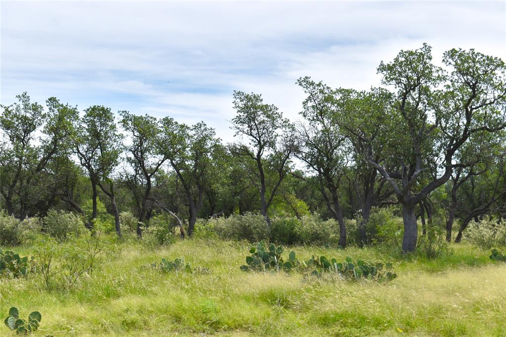 1300 Homestead Drive Rochelle, TX 76872 - Photo 25 of 37