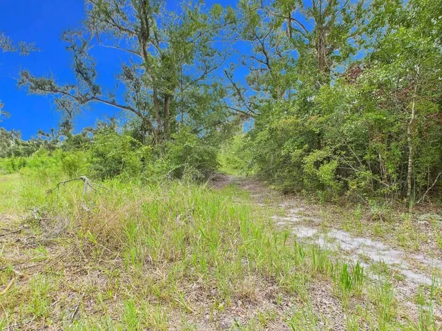 $75,000 | 0 Shady Oaks Lane, Perry, FL 32348