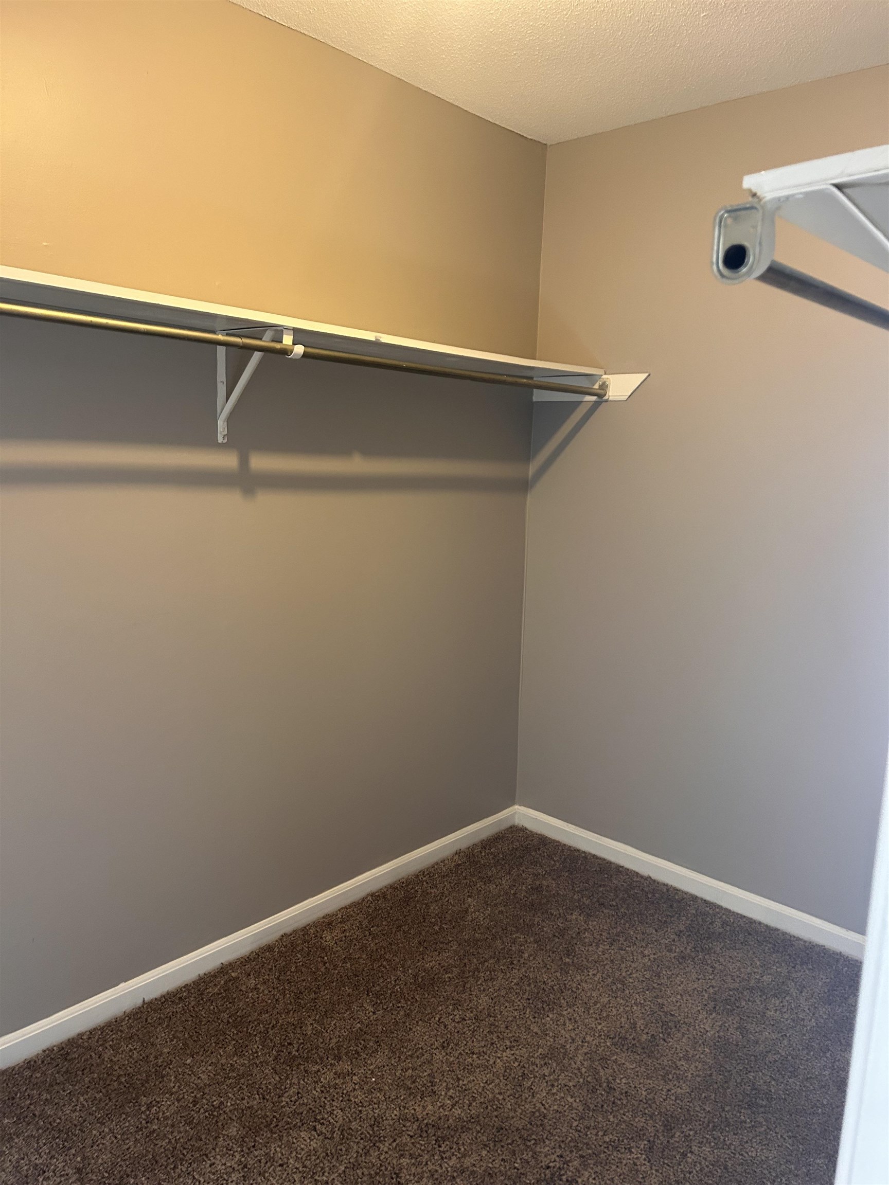 1772 6th Crompton Square, Unit B Memphis, TN 38134 - Photo 6 of 8 Spacious closet featuring dark carpet