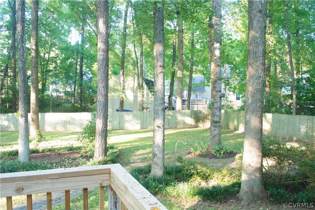 4517 Rabbit Foot Lane North Chesterfield, VA 23236 - Photo 36 of 41 Gallery Image 36