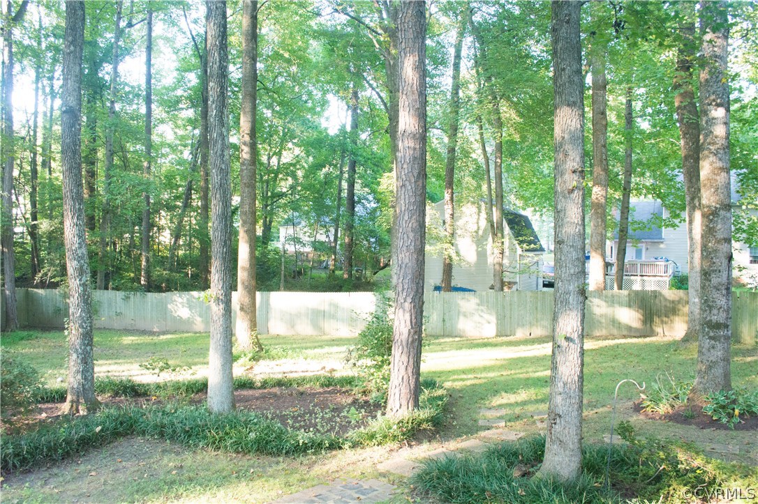 4517 Rabbit Foot Lane North Chesterfield, VA 23236 - Photo 38 of 41 Gallery Image 38