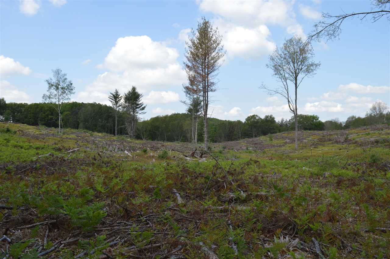 16 East Mile Road Reed City, MI 49677 - Photo 8 of 13 Gallery Image 8