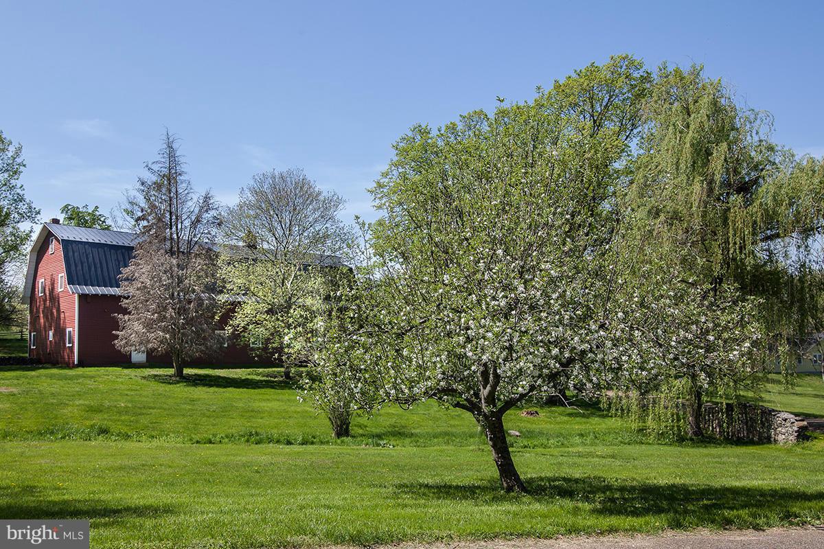 1641 Lake Farm Road Marshall, VA 20115 - Photo 15 of 25 View