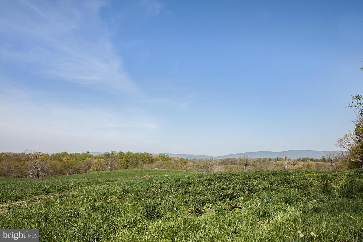 1641 Lake Farm Road Marshall, VA 20115 - Photo 22 of 25 View