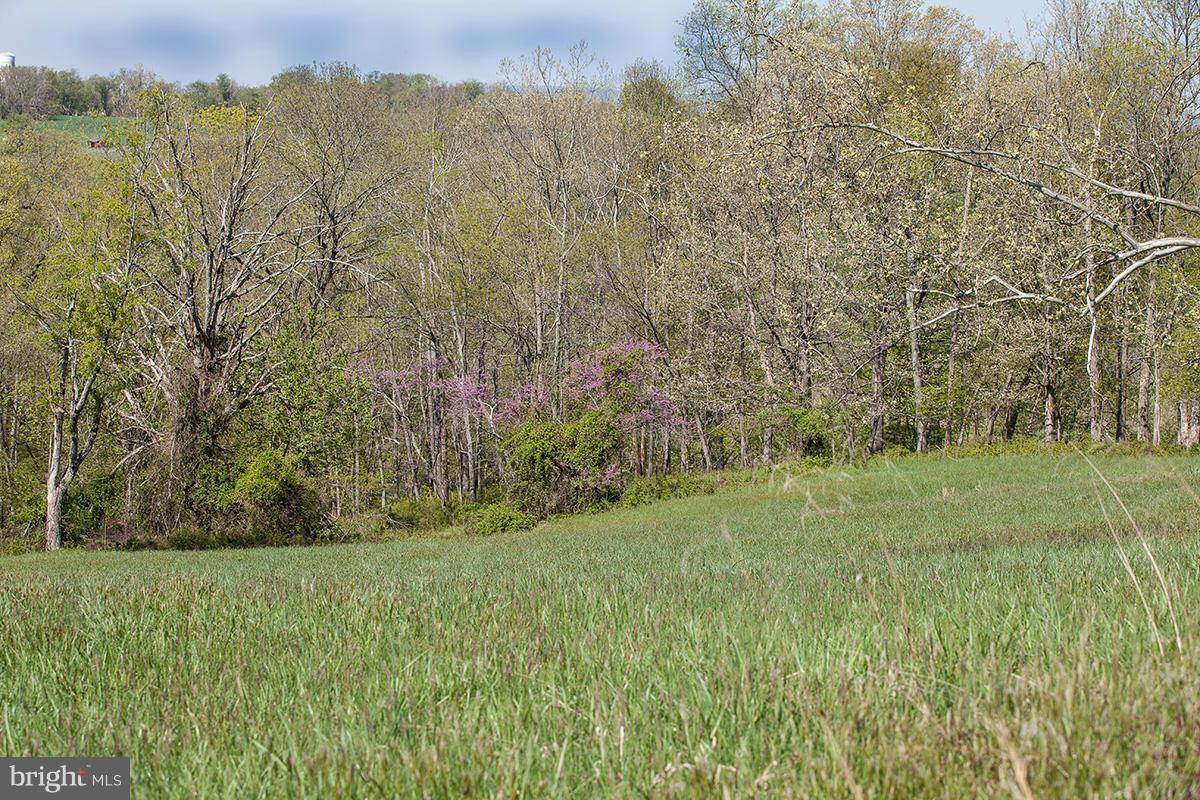 1641 Lake Farm Road Marshall, VA 20115 - Photo 23 of 25 View