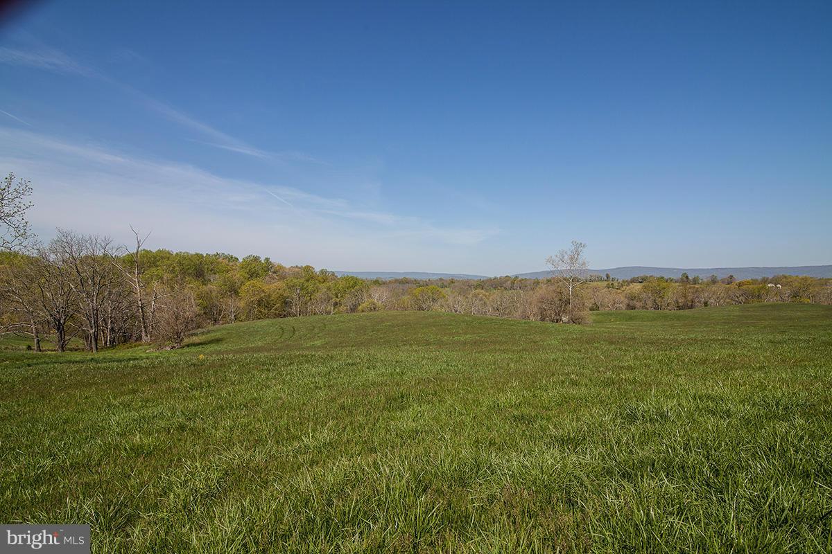 1641 Lake Farm Road Marshall, VA 20115 - Photo 24 of 25 View