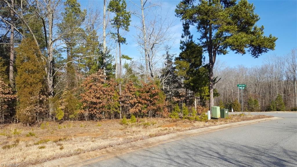 2111 Waterford Pointe Road Lexington, NC 27292 - Photo 6 of 10 Gallery Image 6